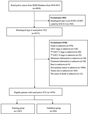 Overall and Cancer-Specific Survival in Patients With Renal Pelvic Transitional Cell Carcinoma: A Population-Based Study